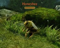 HoneyBee.jpg