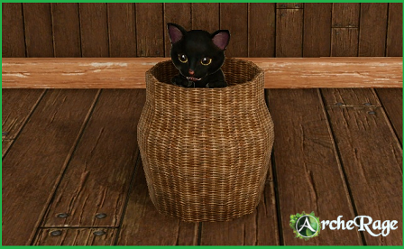 Black Kitten in a basket.png