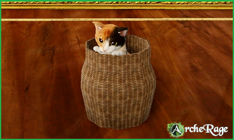 Calico Kitten in a basket.png