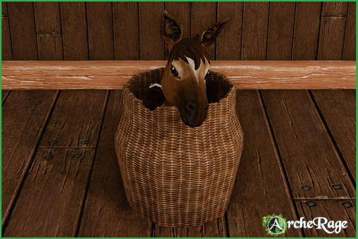 Foal in a basket.png