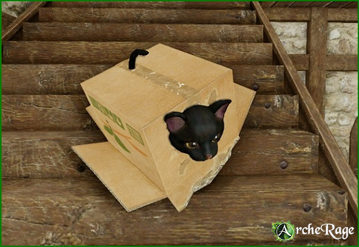Inbox Black Cat Housepet_1.jpg