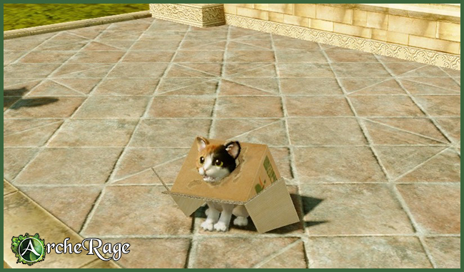 Inbox Calico Housepet .jpg