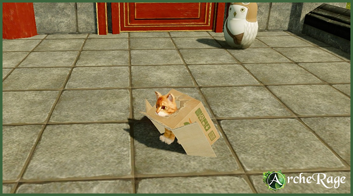 Inbox Orange Tabby Housepet.png