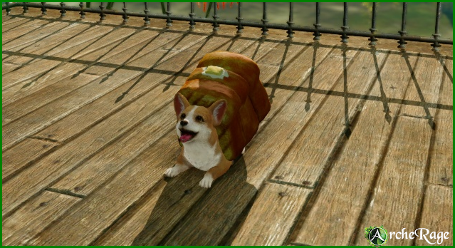 Inbread Corgi.png