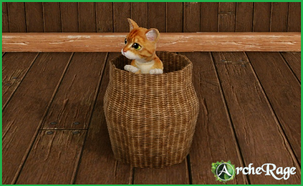 Kitten in a basket.png