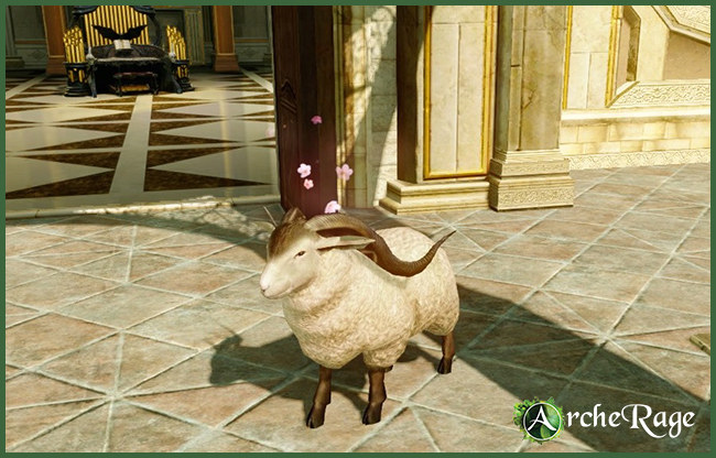 Lil' Sheepie.jpg