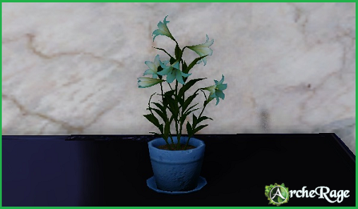 Lily Flowerpot.png