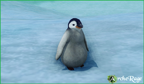 Miroir Penguin.png