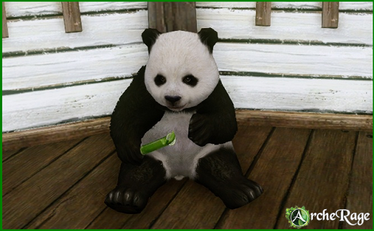 Panda_decor.png