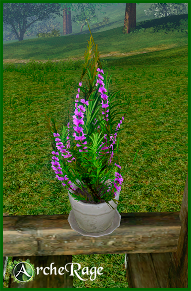 Rosemary Flowerpot.png