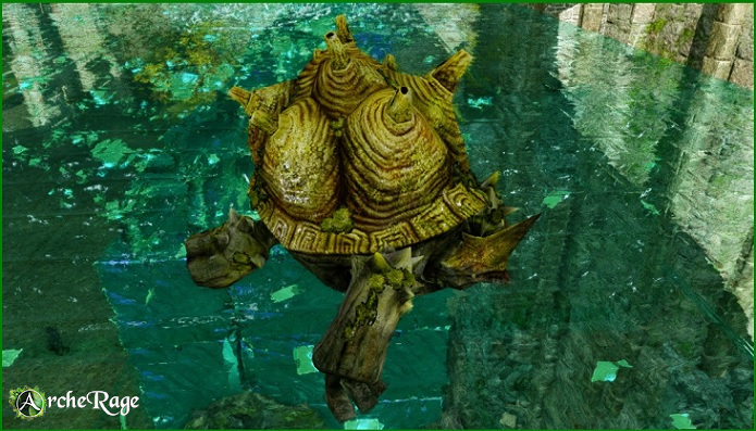 Sea Turtle Pet.jpg