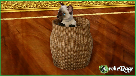Seal-Point Kitten in a basket.png