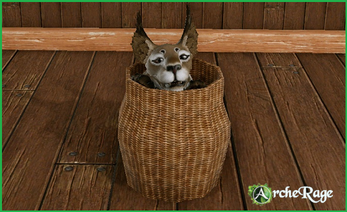 Snowlion Cub in a basket.png