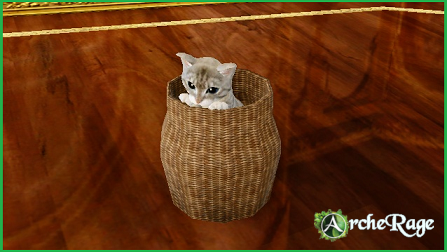 Tabby Kitten in a basket.png