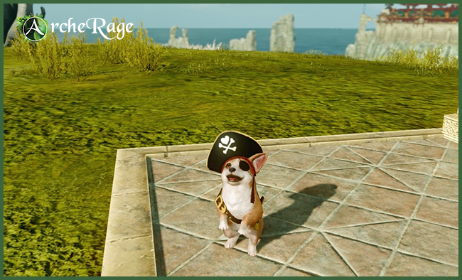 Welsh Pirate Corgi.jpg