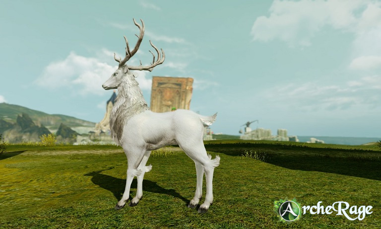 White Reindeer.jpg