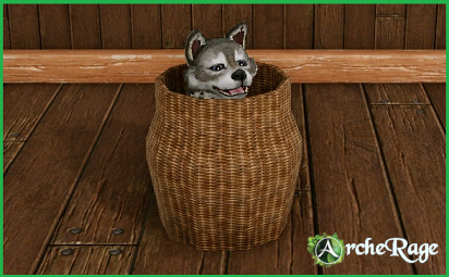 Wolfhound Cub in a basket.png