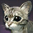 Young Gray Tabby Housepet.png