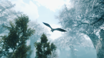 crow in the forest.png